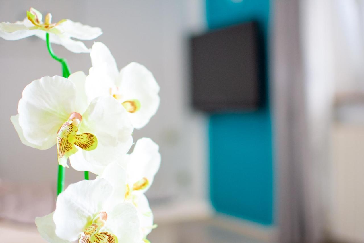 Apartmán App Roko 2 Poreč Exteriér fotografie