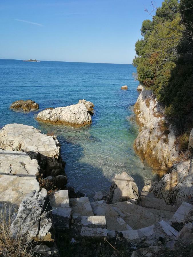 Apartmán App Roko 2 Poreč Exteriér fotografie